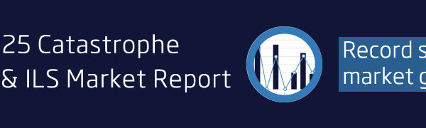 Allstate lifts top of catastrophe reinsurance tower to $9.5bn for 2025-2026